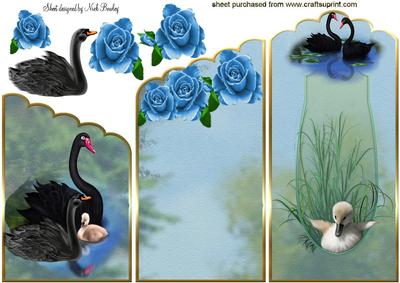 Pretty Black Swans with Blue Rose Cascading Card