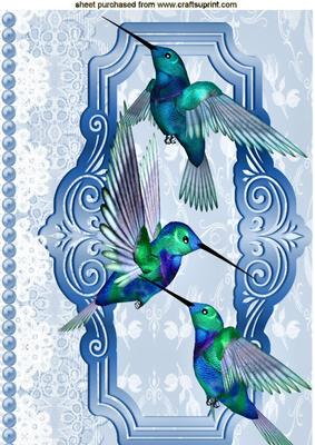 Pretty Blue & Green Humming Birds A4