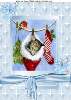 Cute Kitten Sleeping in Santa Stocking A4