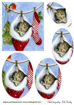 Sleepy Kitten in Santa Sock Oval Pyramids
