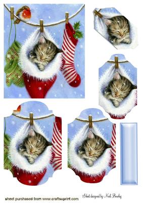 Sleepy Kitten in Santa Sock Bracket Pyramids
