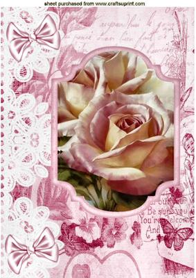 Pink Rose in Bracket Frame on Script with Lace A4