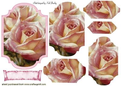 Pink Roses in Frame Bracket Pyramids
