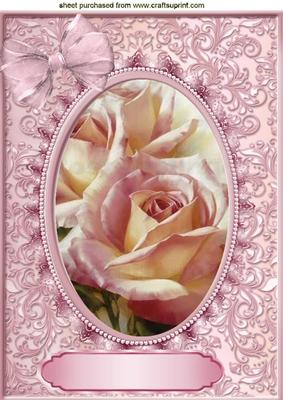 Pink Roses in Lace Frame A4
