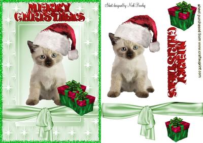 Cute Kitty in Santa Hat with Pressies