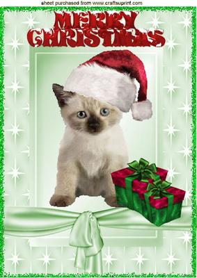 Cute Kitty in Santa Hat with Pressies A4