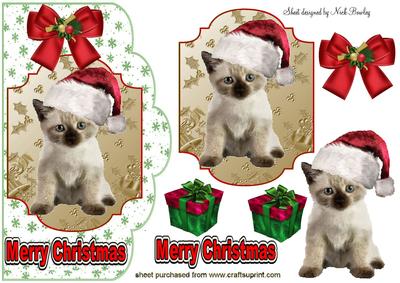 Cute Kitty in Santa Hat, Topper and Card
