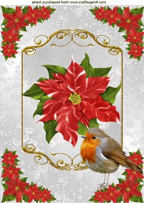 Poinsettias with Robin A4