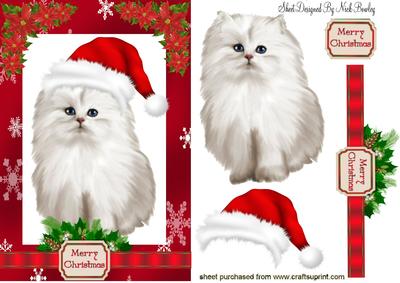 White Persian Kitten in Santa Hat