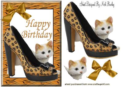 Kitten with Ladies Animal Print Shoe