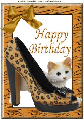 Kitten with Ladies Animal Print Shoe A4