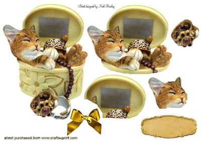 Kitten Sleeping in Jewellery Box