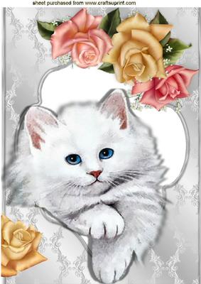 Cute Blue Eyed Kitten with Roses A4