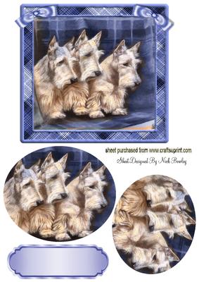 Scottie Dogs in Blue Tartan Frame Oval Pyramids