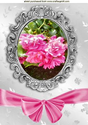 Pretty Pink Roses in Ornate Frame A4
