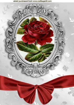 Pretty Red Rose in Ornate Frame with Bow A4