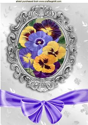 Pretty Coloured Pansies in Ornate Frame with Bow A4