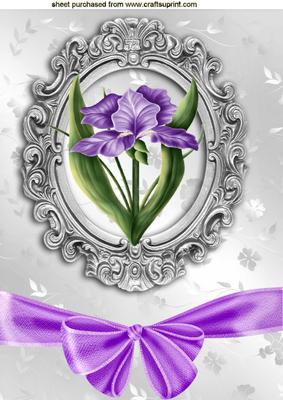 Pretty Lilac Iris in Ornate Frame with Bow A4