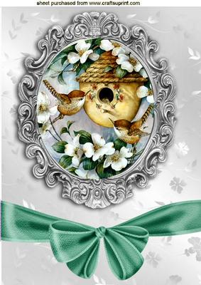 Pretty Birds in a Nest in Ornate Frame, Turq Bow A4