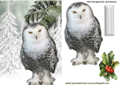 Snowy White Owl in Snow Scene
