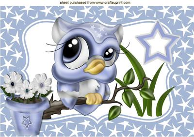 Cute Little Blue Owl in Star Frame A4