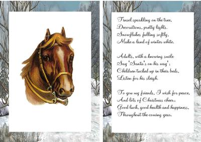 Horse in a Field of Snow A5 Insert with Verse