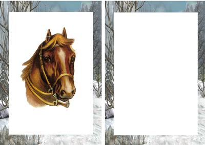 Horse in a Field of Snow A5 Insert