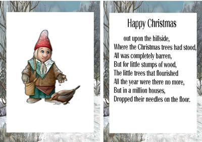 Feeding the Birds in the Snow A5 Insert with Verse