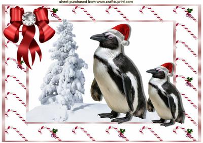 Penguins in Santa Hats in Candy Frame A4