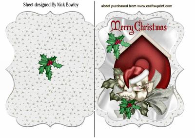 Little Robin in Birdhouse with Holly Bracket Card