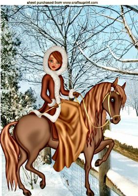 Pretty Lady Horse Riding in the Snow A4