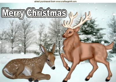 Deer and Brown Stag in the Snow A4