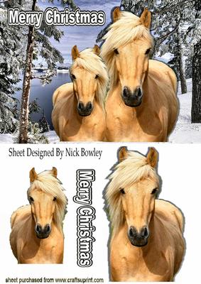 Beautiful Palomino Mum and Foal in the Snow