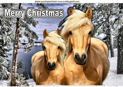 Beautiful Palomino Mum and Foal in the Snow A4