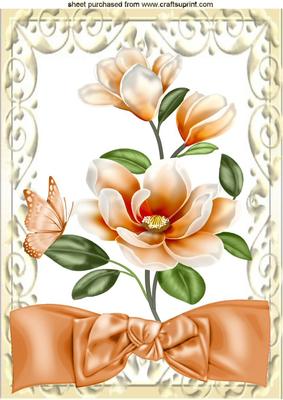 Peaches & Cream, Pretty Magnolias with Bow A4