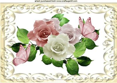 Pink and White Roses , in Ornate Frame A4