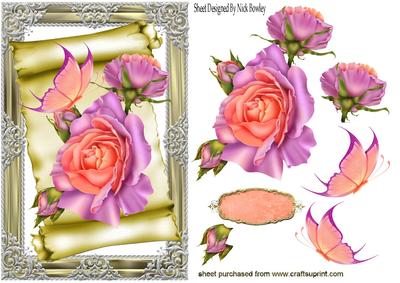 Peach/pink Roses on a Scroll with Butterflies