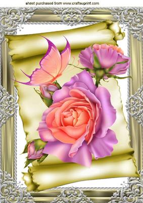 Peach/pink Roses on a Scroll with Butterflies A4