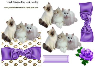 Purple Rose and Bow with Kittens Over the Edge Crd