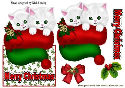 Cute Kittens in Santa Hat, Over the Edge Card