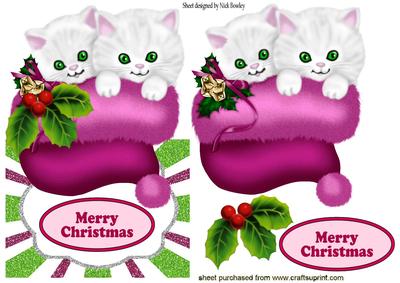 Cute Kittens in Pink Santa Hat Over Edge Crd