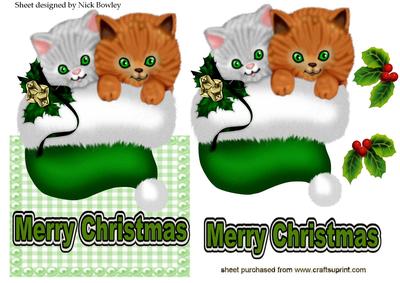 Cute Kittens in Green Santa Hat, Over the Edge Card