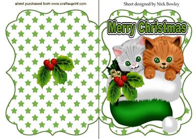 Cute Kitten in Green Santa Hat Bracket Card