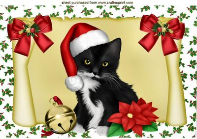 Little Black Kitten on a Scroll in Santa Hat A4