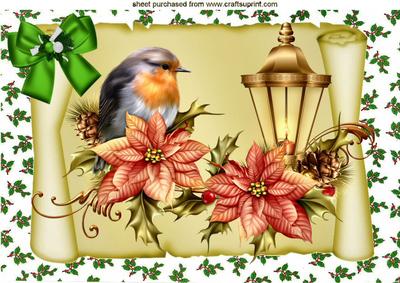 Robin with Poinsettias on a Scroll A4