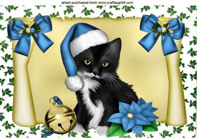 Black Kitten in Blue Santa Hat on a Scroll A4