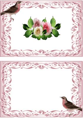 Pink Shades of Summer Roses A5 Insert