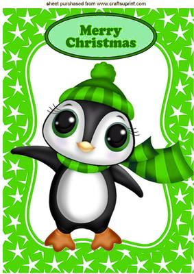 Little Penguin in Green Bobble Hat in Star Frame A4
