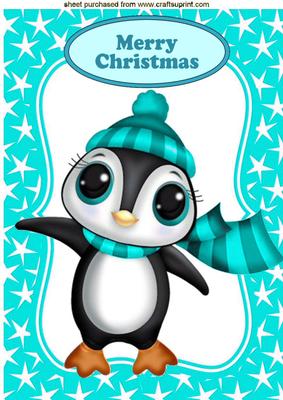 Cute Penguin in Turq Bobble Hat in Star Frame A4