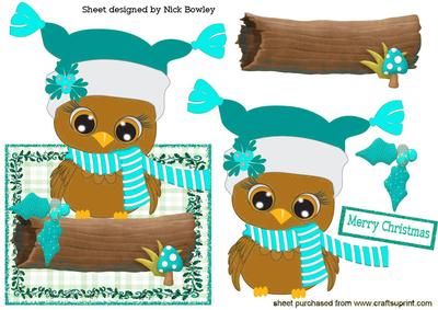 Cute Owl in Turq Hat & Scarf Over the Edge Card